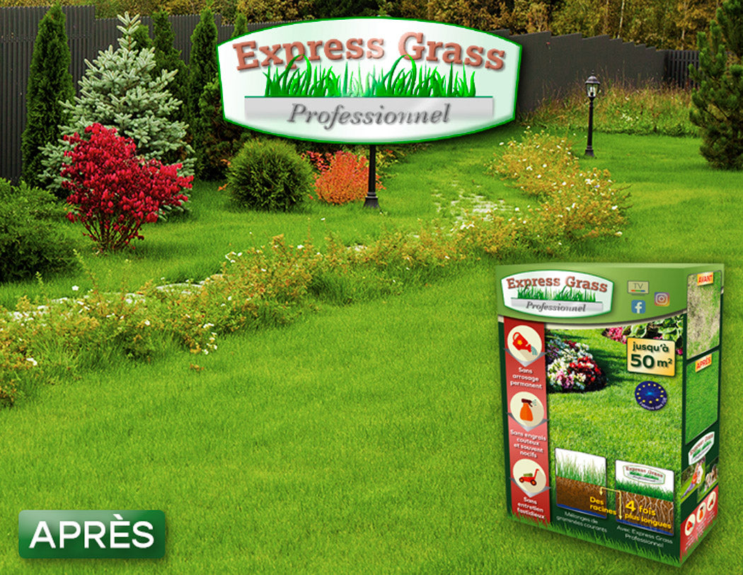 Express Grass Professionnel - 3 boites + 1 boîte GRATUITE pour 200 m2