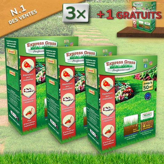 Express Grass Professionnel - 3 Packungen für 200 m2