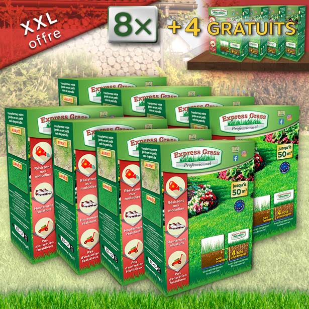 Express Grass Professionel - 8 Packungen für 600 m2 + 4 Packungen GRATIS