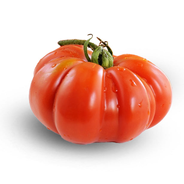 Brutus Tomatensamen – Große Fleischtomate, Rot, Bis Zu 1 Kg Schwer – Für Freiland Oder Gewächshaus