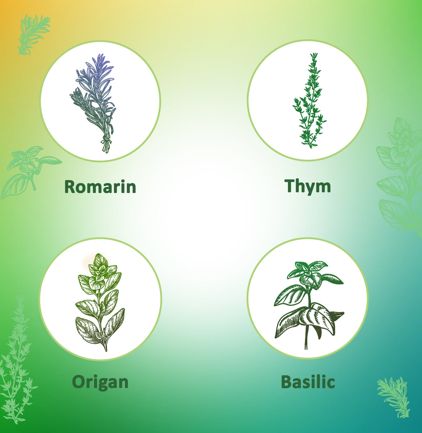 Plantes Aromatiques Goûts audacieux