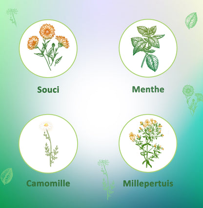 Plantes Médicinales Essences Saines