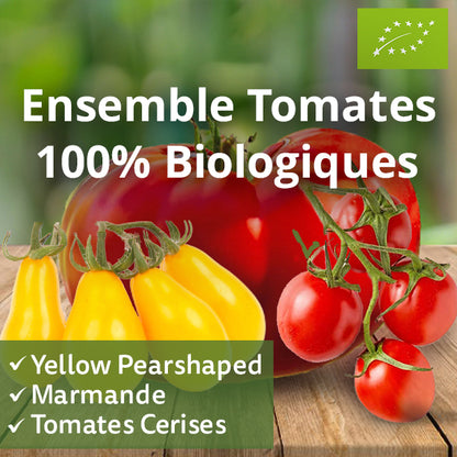 Ensemble Tomates 100% Biologiques