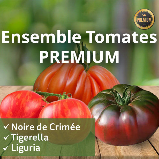 Tomaten-Set PREMIUM