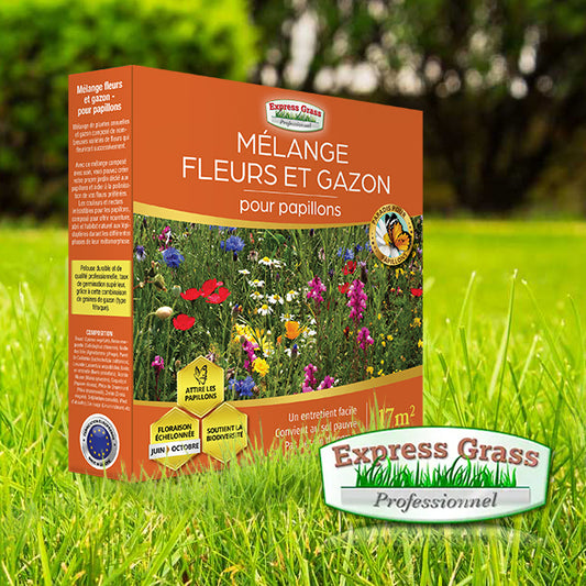 Mélange fleurs et gazon - pour papillons