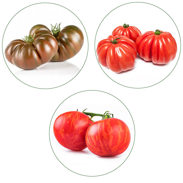 Ensemble Tomates Premium